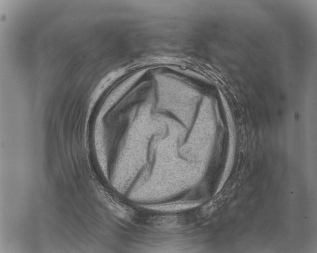 X0000073890104200609011703