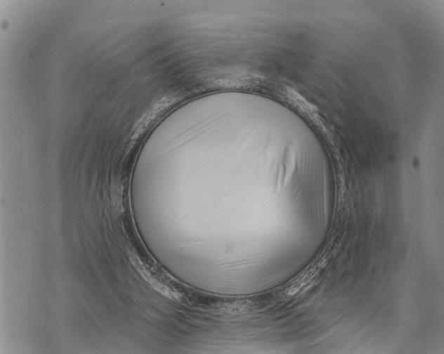 X0000073890106200609011703