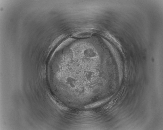 X0000073890107200609011703