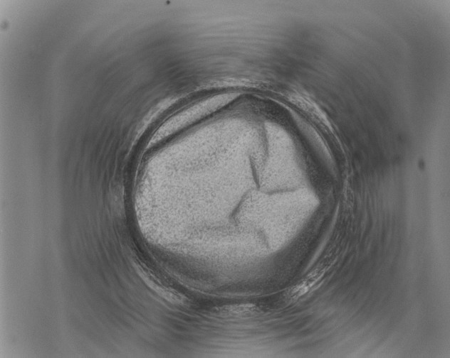 X0000073890108200609011703