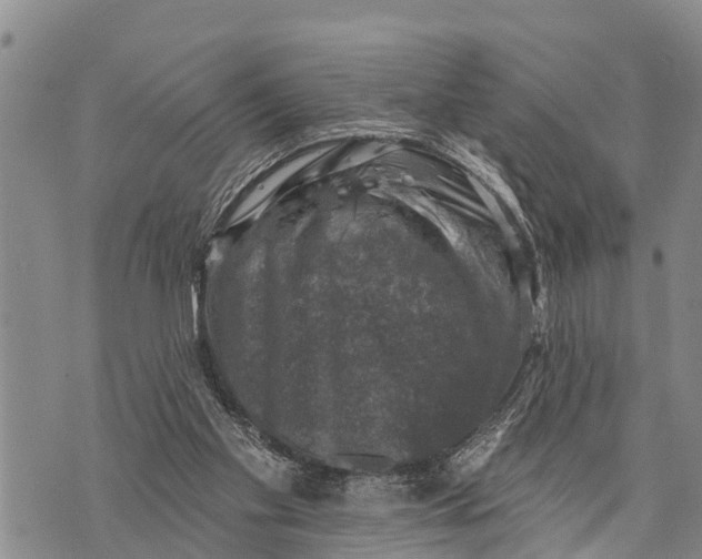 X0000073890109200609011703