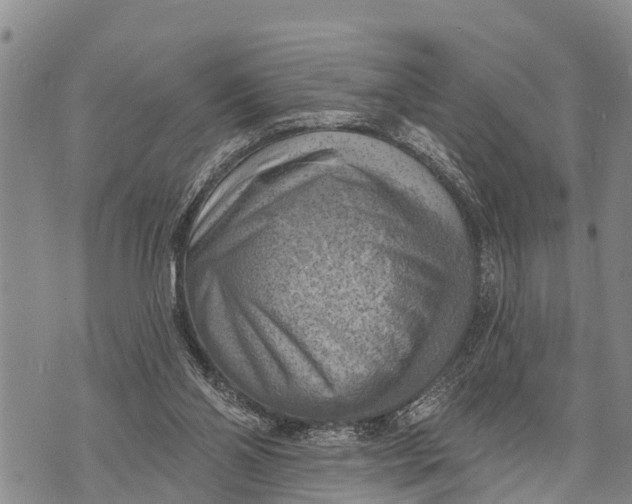 X0000073890110200609011703