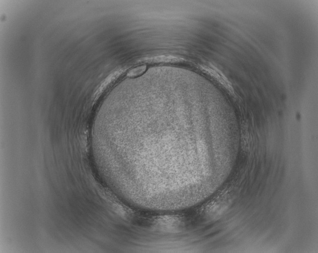 X0000073890111200609011703