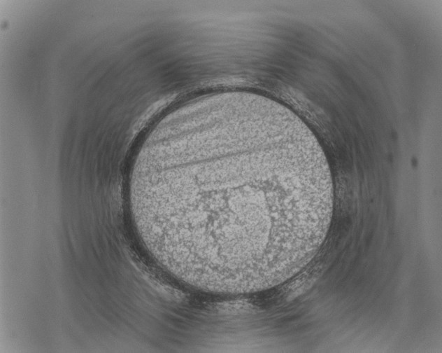 X0000073890112200609011703