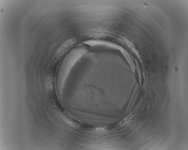 X0000073890114200609011703