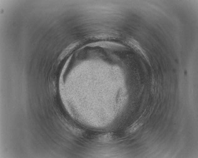 X0000073890116200609011703