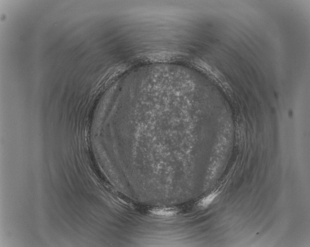 X0000073890117200609011703