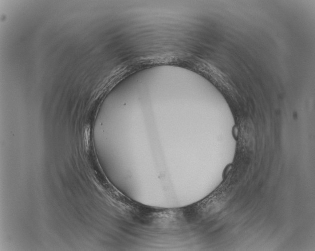 X0000073890118200609011703