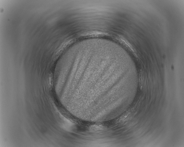 X0000073890119200609011703