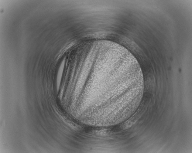 X0000073890120200609011703