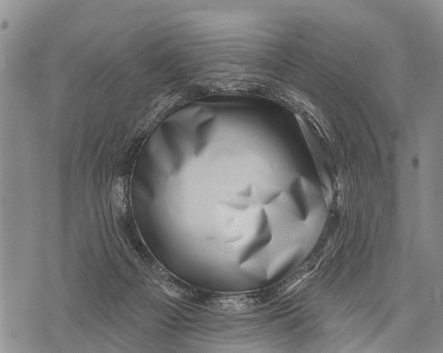 X0000073890121200609011703