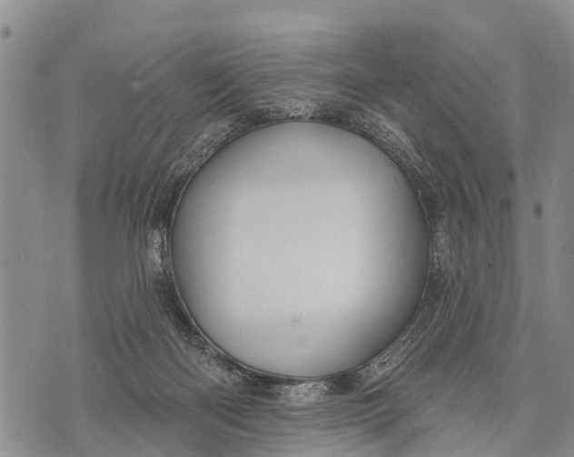 X0000073890122200609011703