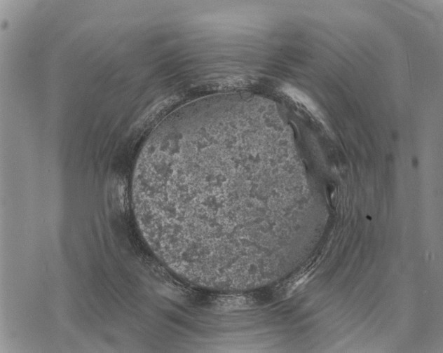 X0000073890123200609011703