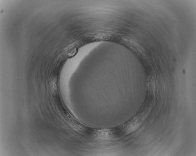 X0000073890127200609011703