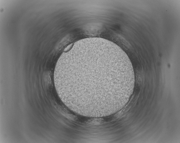 X0000073890128200609011703