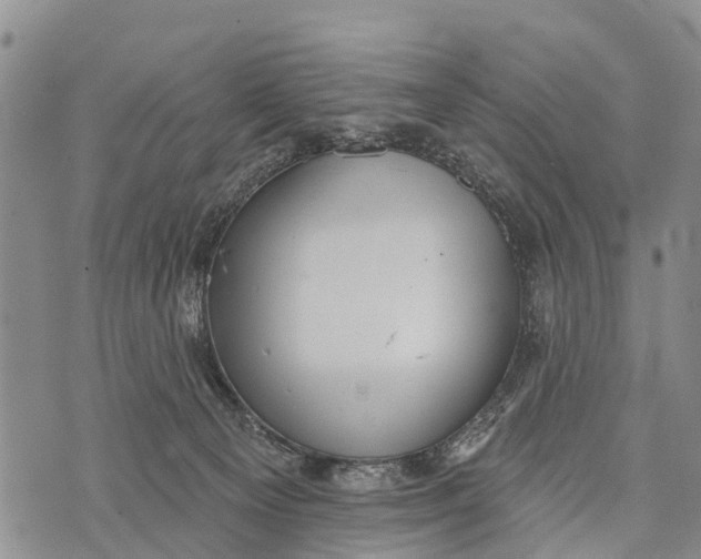 X0000073890129200609011703