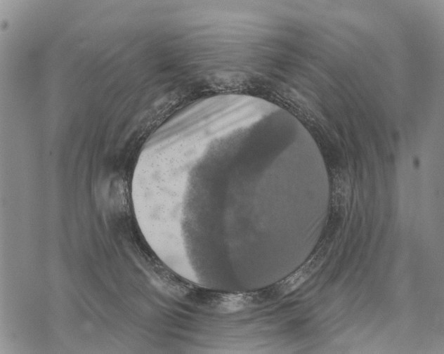 X0000073890130200609011703