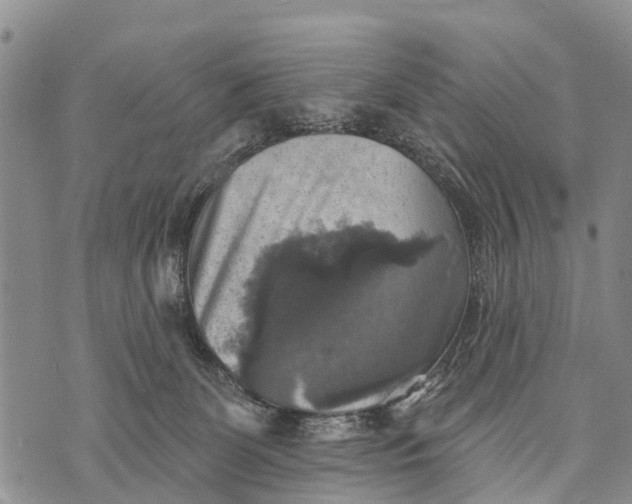 X0000073890131200609011703