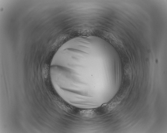 X0000073890133200609011703