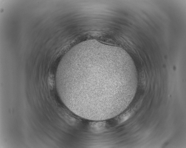 X0000073890135200609011703