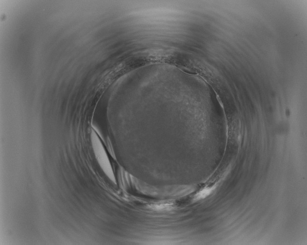 X0000073890137200609011703