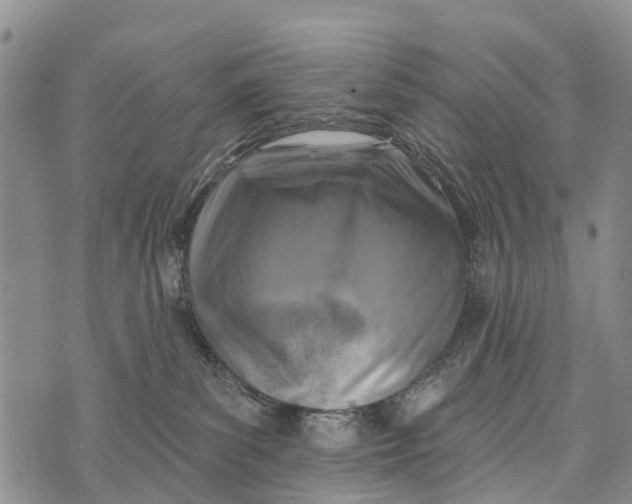 X0000073890139200609011703