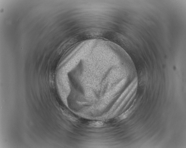 X0000073890140200609011702