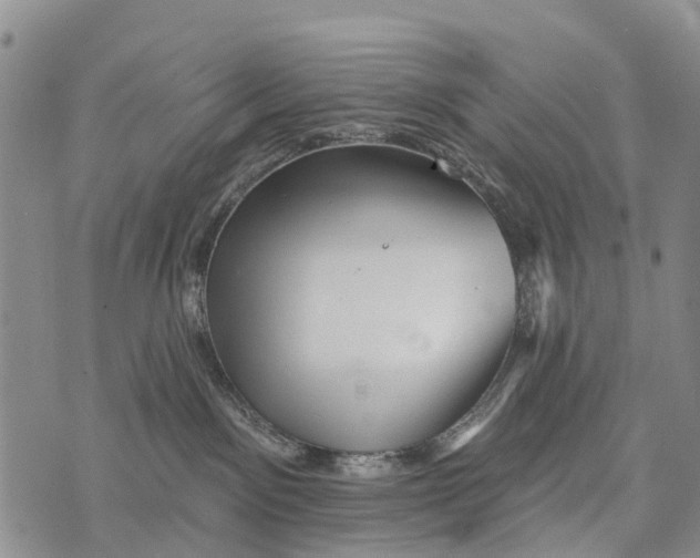 X0000073890141200609011702