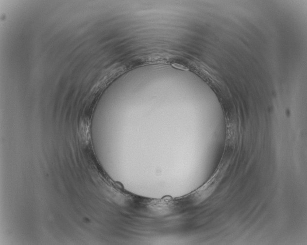 X0000073890142200609011702