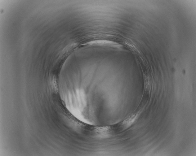 X0000073890143200609011702