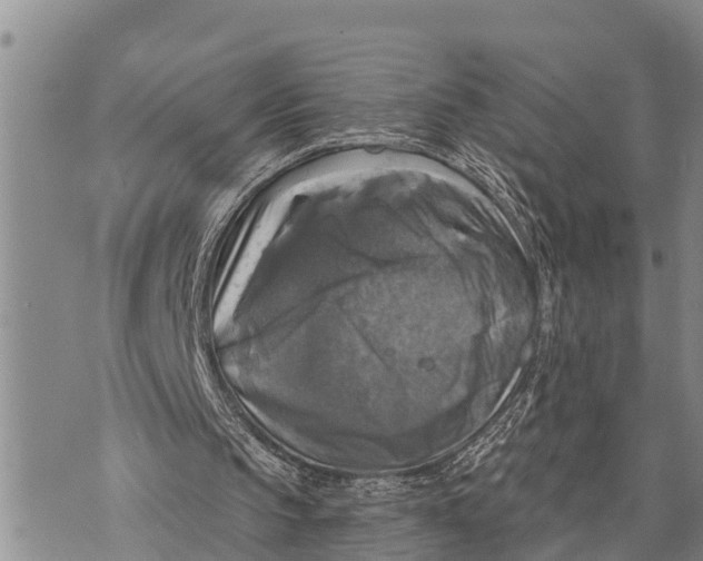 X0000073890145200609011702