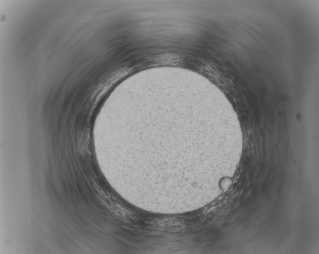 X0000073890146200609011702