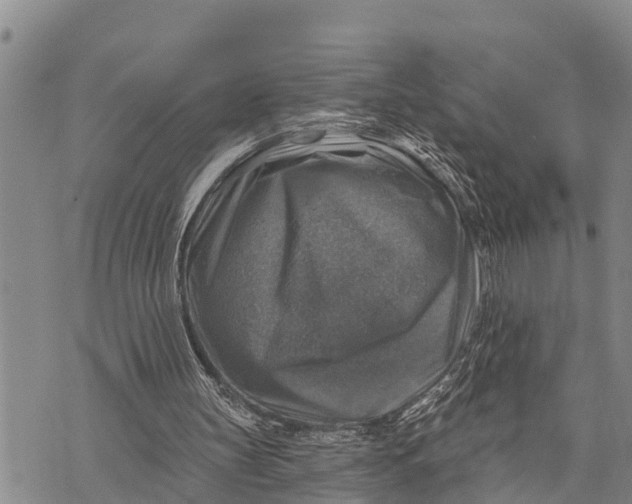 X0000073890147200609011702