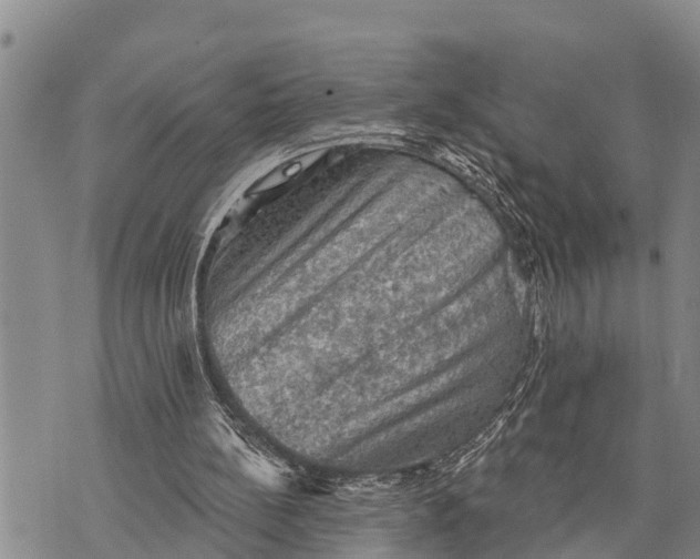 X0000073890148200609011702