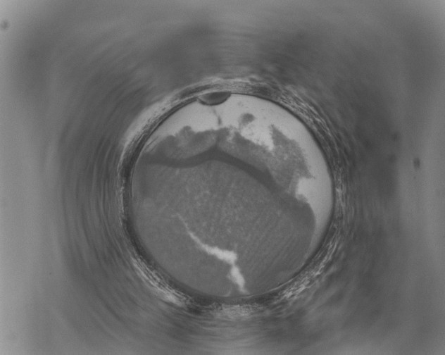 X0000073890149200609011702