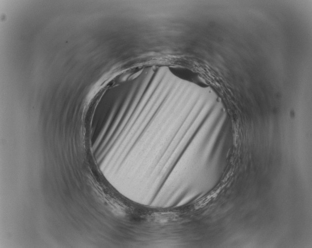 X0000073890150200609011702