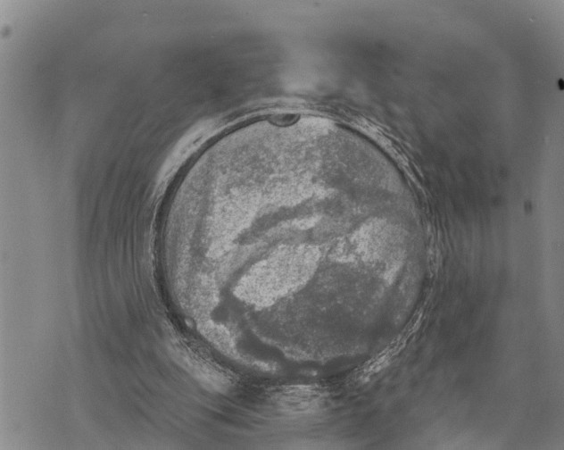 X0000073890151200609011702