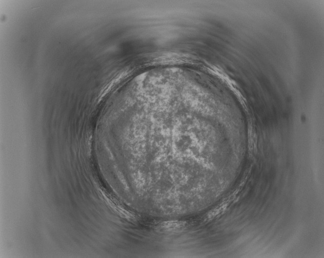 X0000073890153200609011702