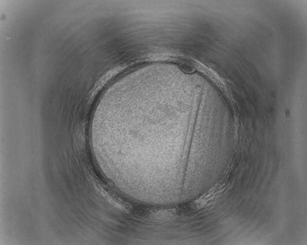 X0000073890155200609011702