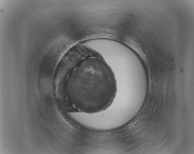 X0000073890156200609011702