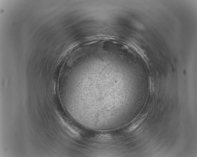 X0000073890157200609011702