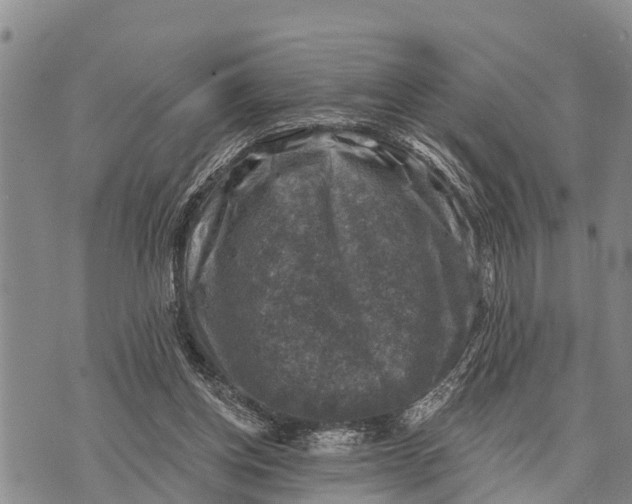 X0000073890158200609011702