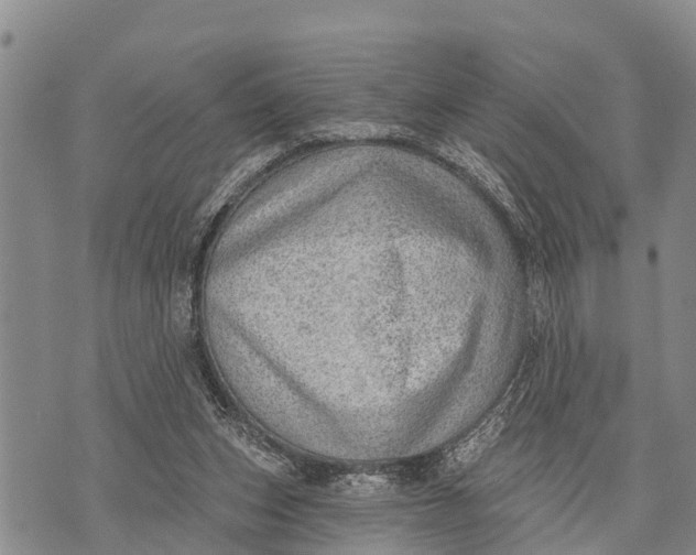 X0000073890159200609011702