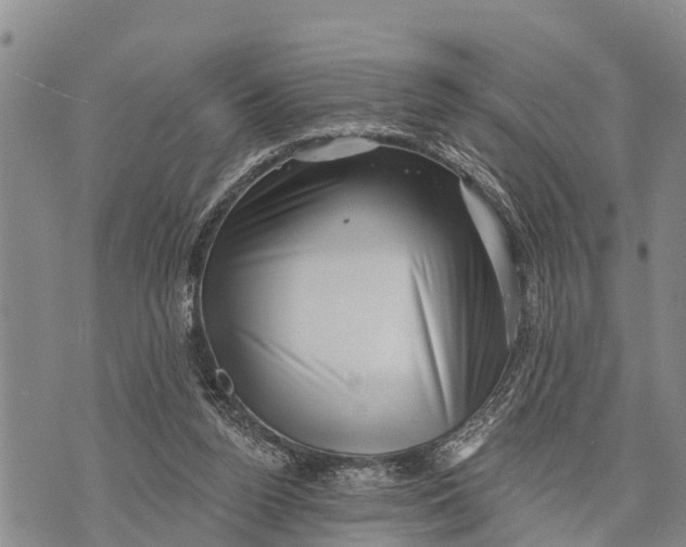 X0000073890160200609011702