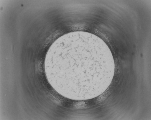 X0000073890162200609011702