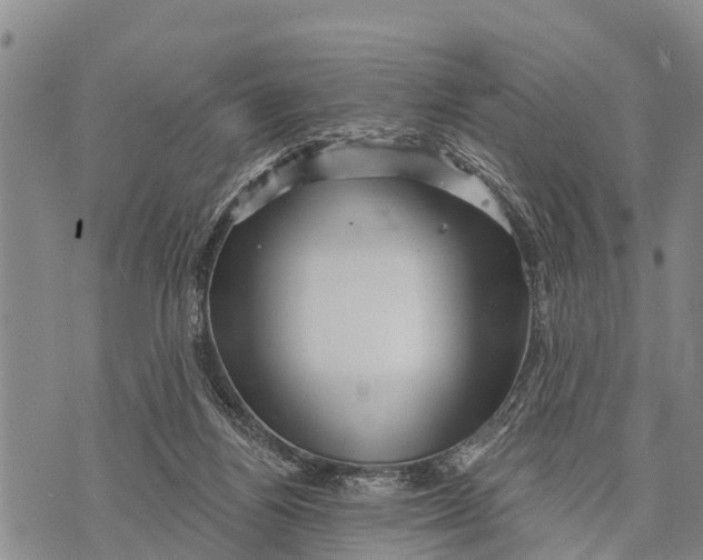 X0000073890164200609011702