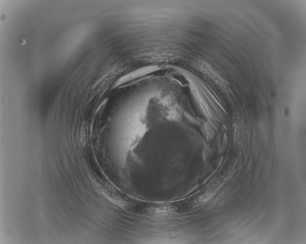 X0000073890165200609011702