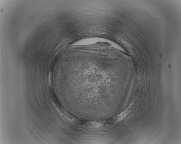 X0000073890166200609011702