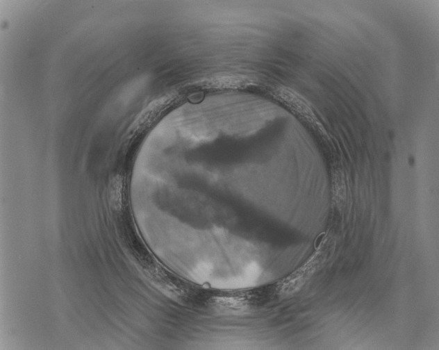 X0000073890167200609011702