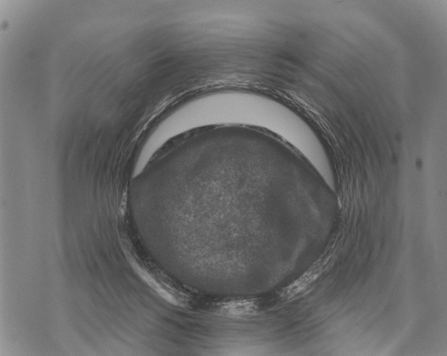 X0000073890168200609011702